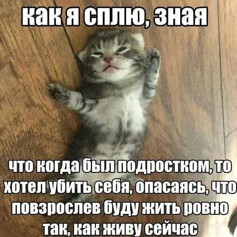 Кот спокойно спит после кризиса
