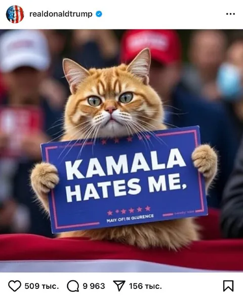 Kamala Hates Me Cat