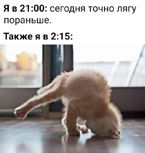 Лягу пораньше сегодня