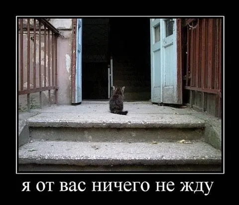 Я от вас ничего не жду