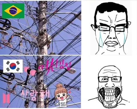 브라질 전기와 한국 전기