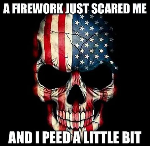 Firework Scared Me