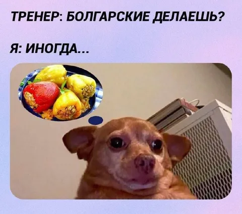 Собака думает о болгарских перцах