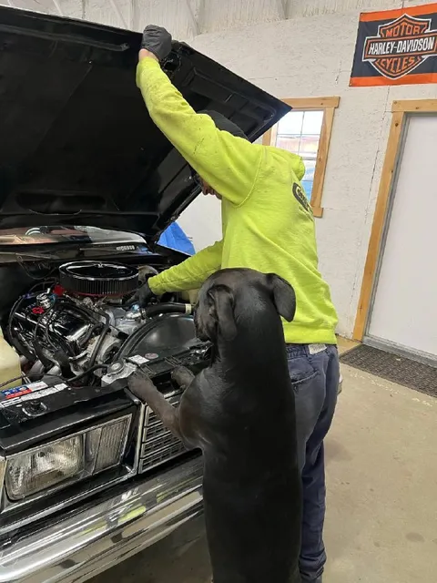 Dog Helps Fix the Car