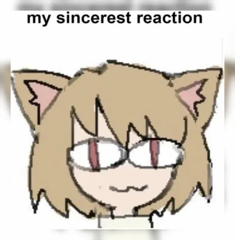 My Sincerest Reaction Cat
