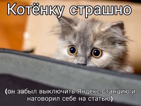 Котёнку страшно из-за колонки