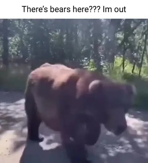 There’s Bears Here, I’m Out