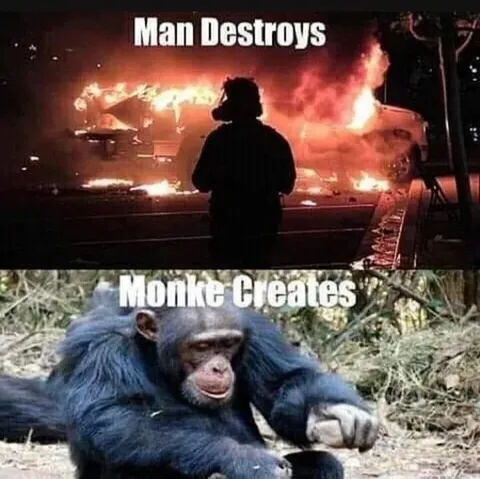Man Destroys Monke Creates