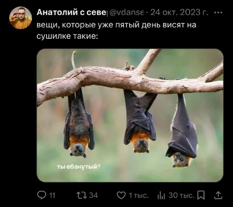 Вещи пятый день на сушилке