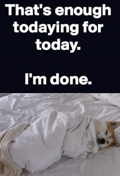 That's enough today