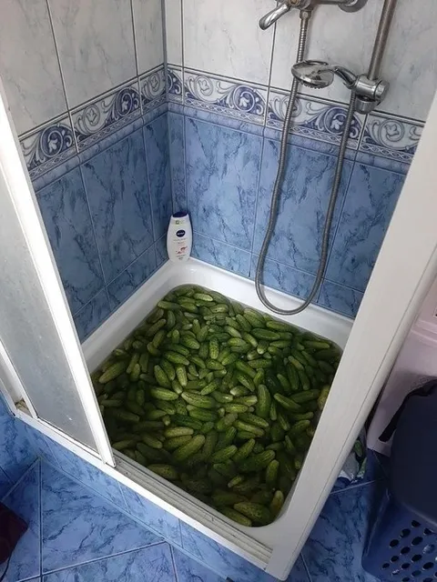 Ванна с корнишонами