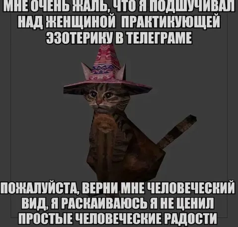 Кот-ведьмак раскаивается