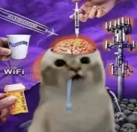 Cat Gets Every Upgrade