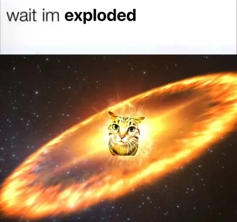Wait Im Exploded Cat