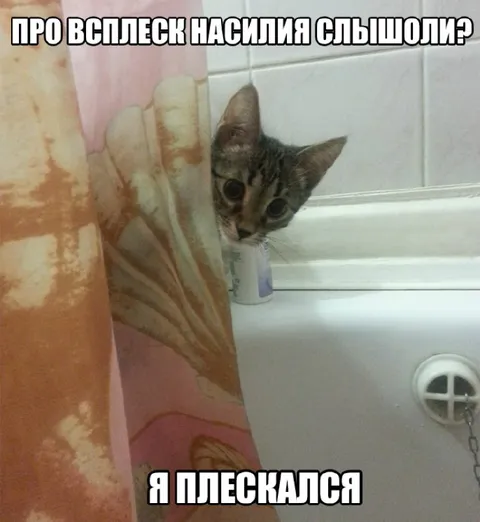 Кот и всплеск насилия