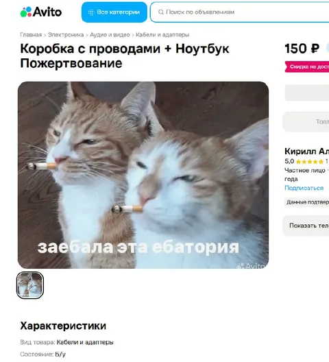 Коты устали от этой ебатории