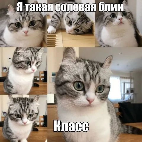 Я такая солевая, блин — класс