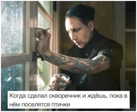 Ждёшь птичек в скворечнике