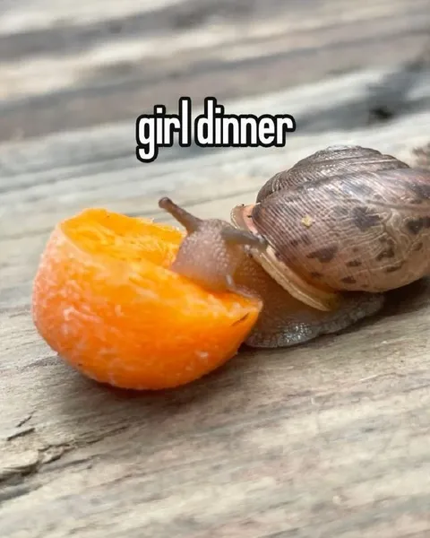 Girl Dinner Snail