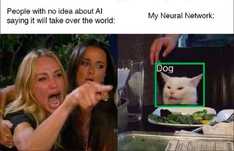 AI Neural Network Thinks Cat Is Dog