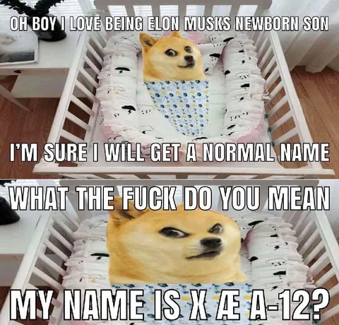Elon Musk Baby Name Meme