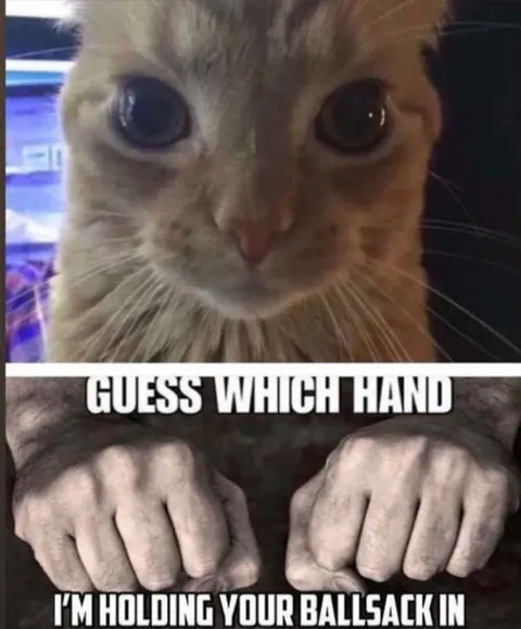 Guess Which Hand