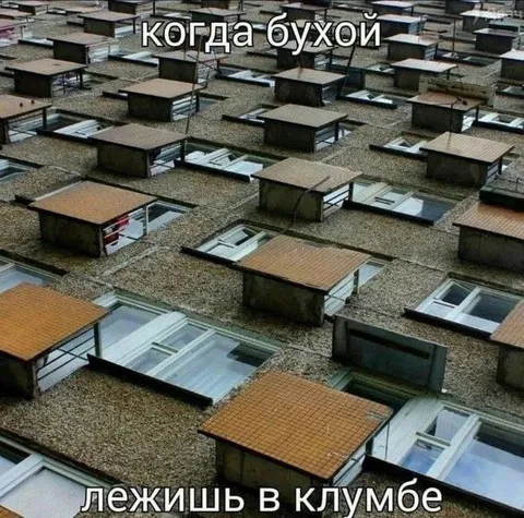 Когда бухой лежишь в клумбе