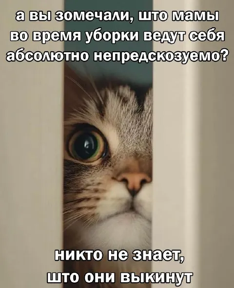 Мамы во время уборки