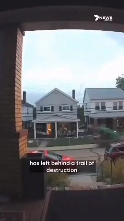 Ten-Year-Old Bobcat Joyride