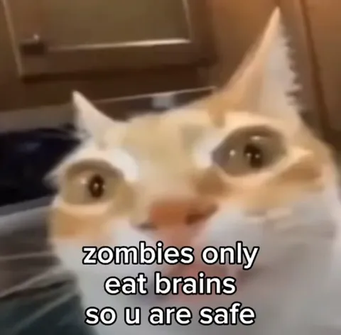 Zombies Only Eat Brains