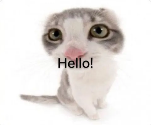 Котёнок говорит Hello