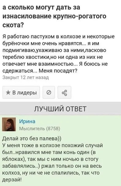 Пастух и конь в яблоках