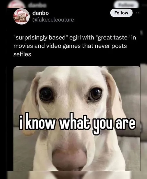 I Know What You Are Dog