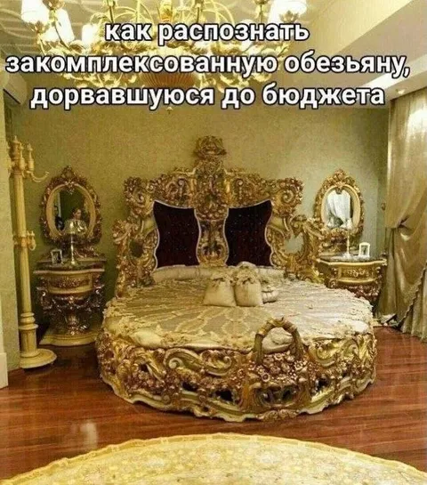 Обезьяна дорвалась до бюджета
