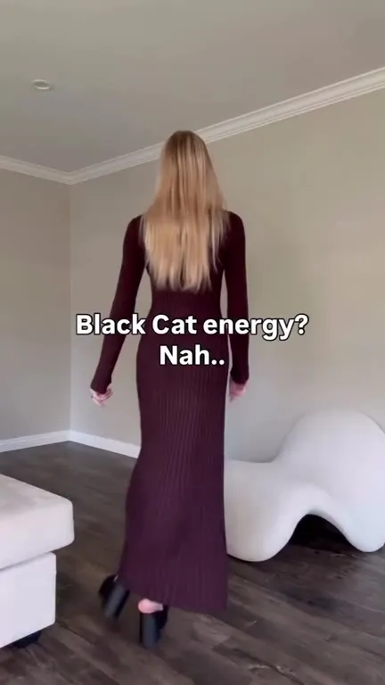 Black Cat Energy, Orange Cat Chaos