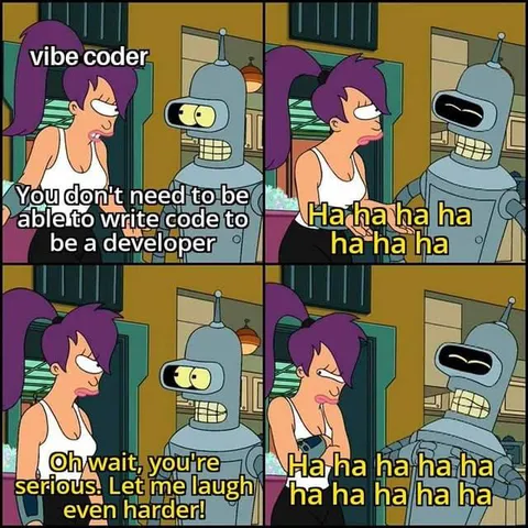 Vibe Coder Gets Mocked