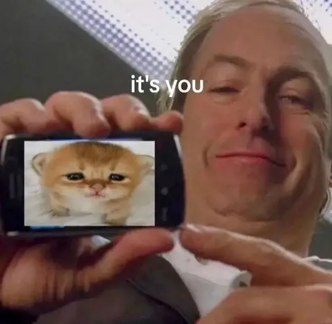 It's You Cat Reaction