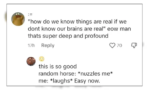 Random Horse Says Easy Now