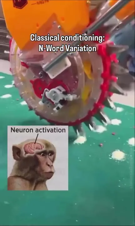 Classical Conditioning N-Word Variation