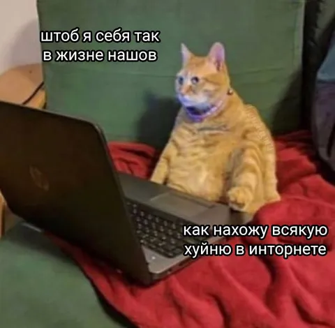 Кот ищет всякую херню