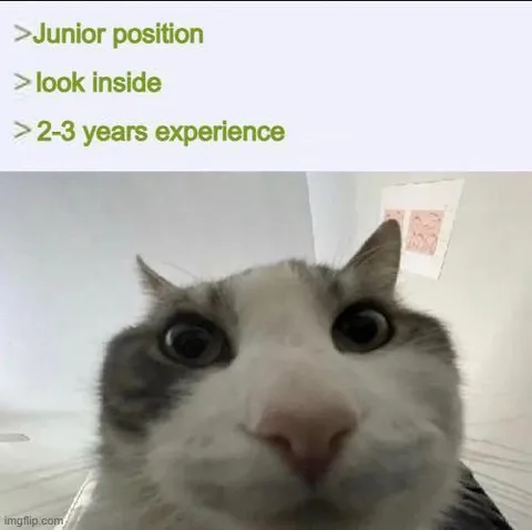 Junior Position With Experience
