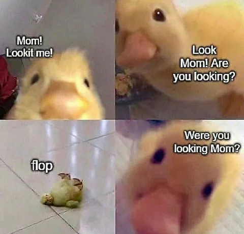 Duckling Flops for Attention