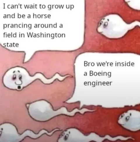 Worms Inside a Boeing