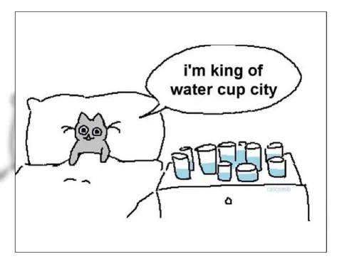 King of Water Cup City
