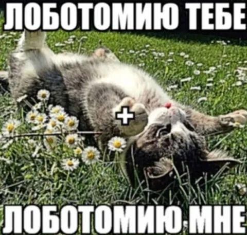 Лоботомию тебе, лоботомию мне