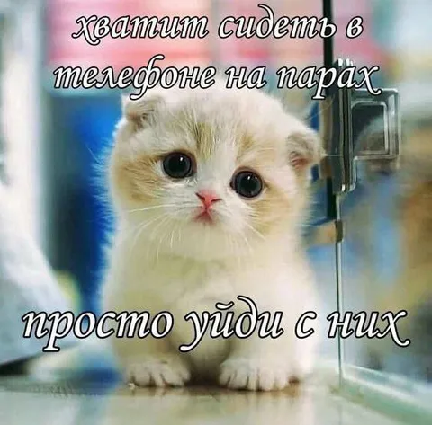 Хватит сидеть в телефоне