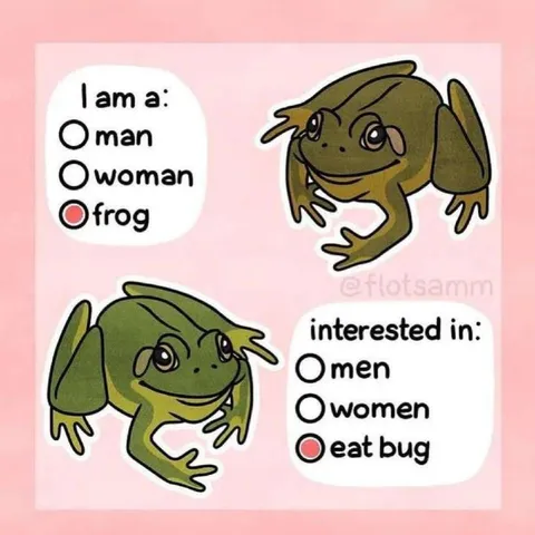 Frog Dating Profile