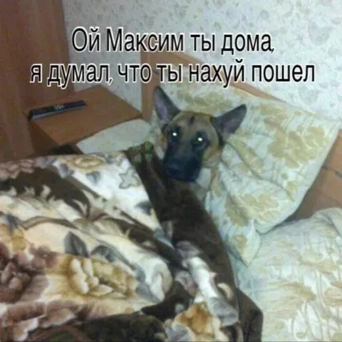 Максим, ты дома?