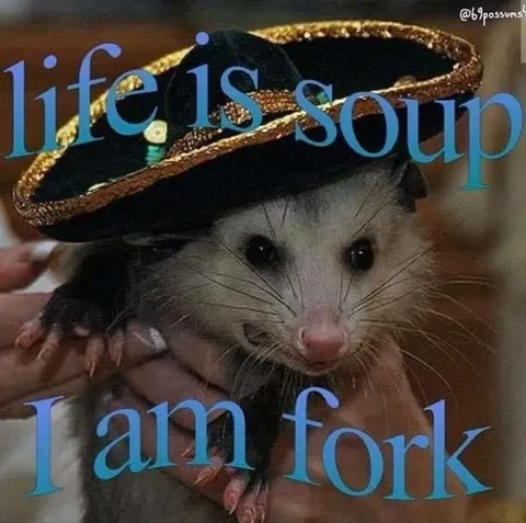 Life Is Soup, I Am Fork