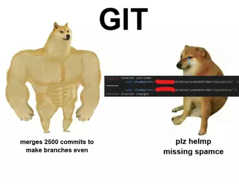 Git Merge Conflict Doge